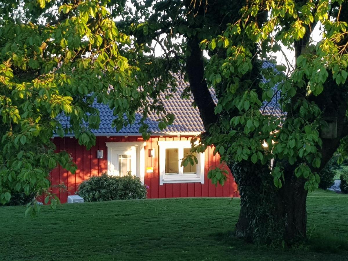 Ferienhaus Loeh Kleinmaischeid Esterno foto