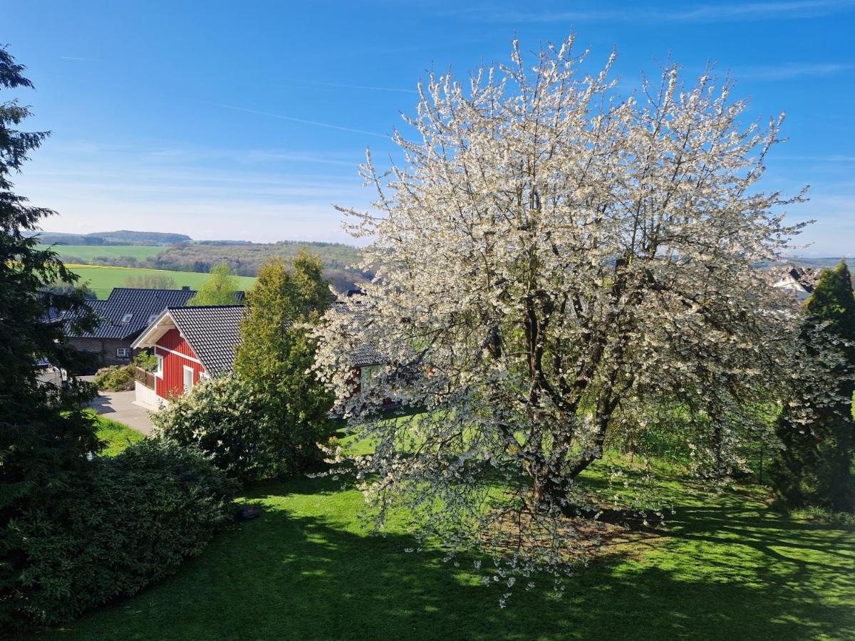 Ferienhaus Loeh Kleinmaischeid Esterno foto